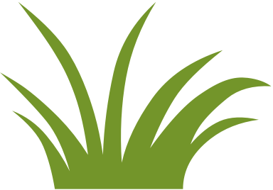 grassbueschel biobase fusszeile