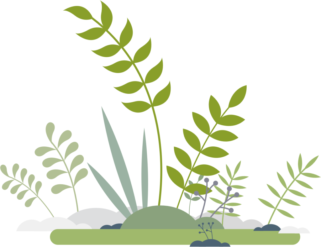 ueber uns pflanzen gruppe