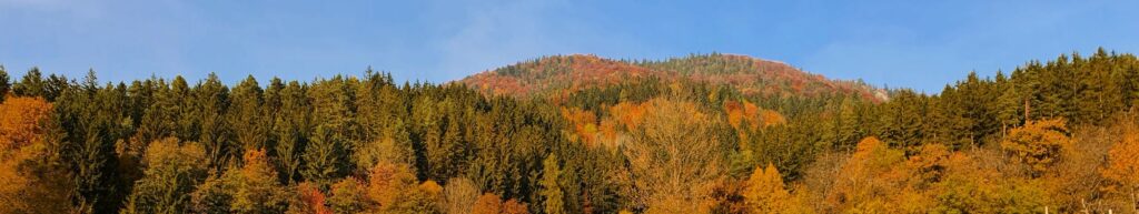 herbstliche Waldlandschaft