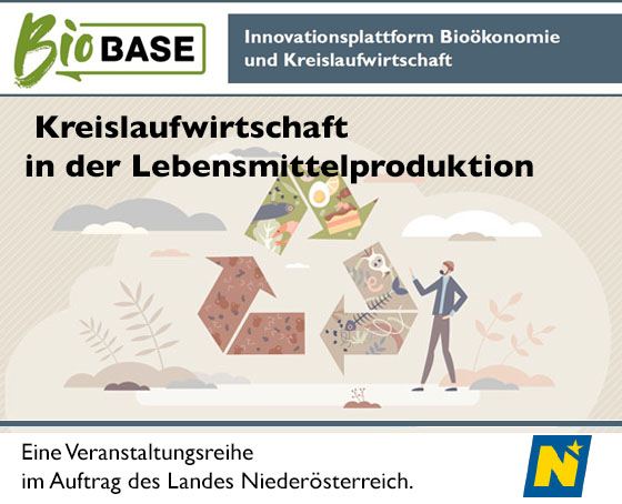 vorschaubild workshop