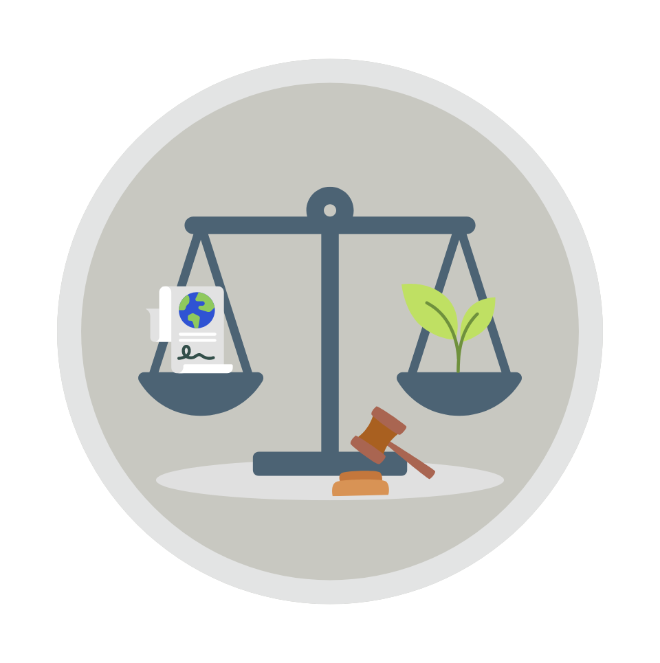 policies und rahmenbedingungen