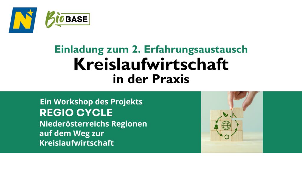 website grafik regiocycle (16 x 9 zoll) (3)